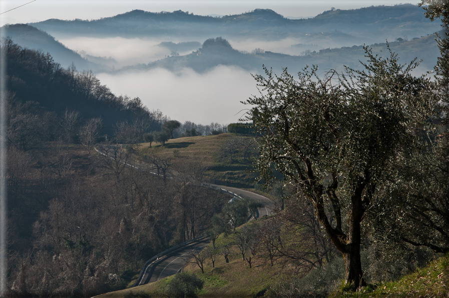 foto Colline Marosticane nella Nebbia